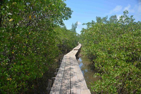 Associação Peixe-Boi