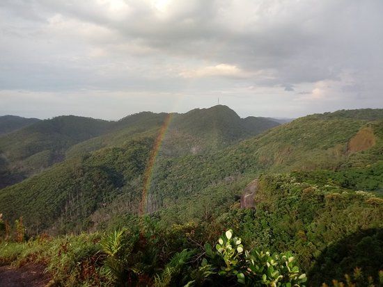 Pedra do Sapo
