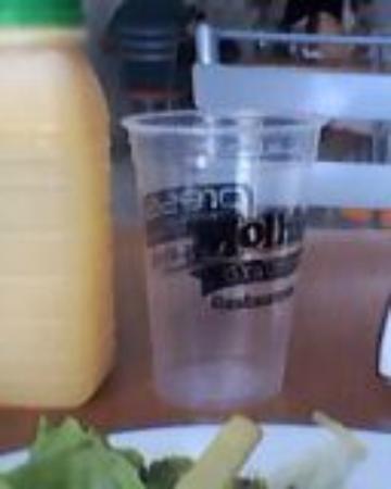 Restaurante Molhin de File
