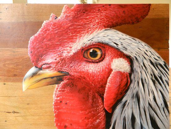 Bernardo David Ateliê