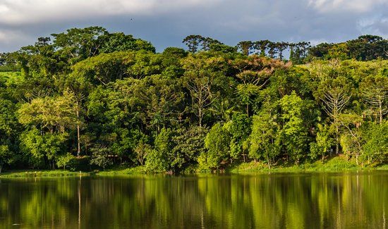 Lago Municipal de Espírito Santo do Pinhal