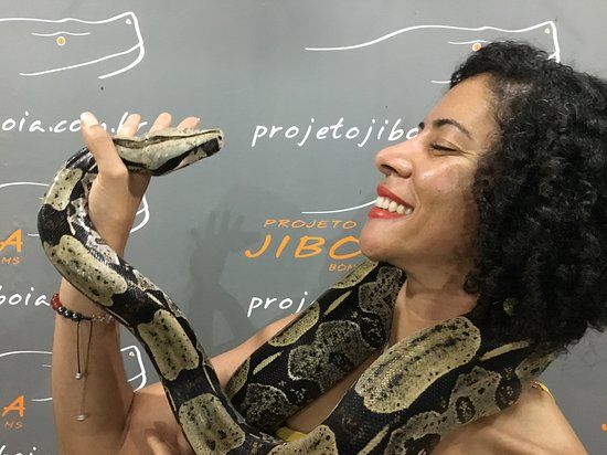 Projeto Jibóia