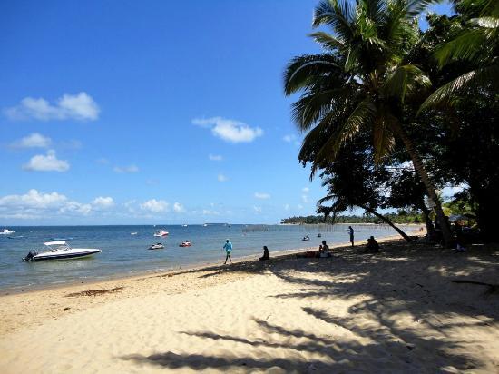 Praia De Barra Grande