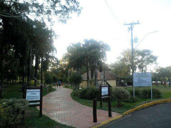 Mini Pantanal