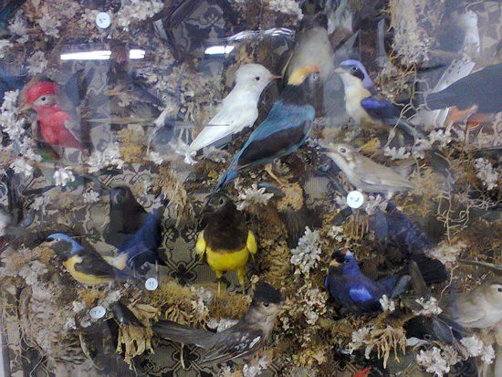 Museu de Ciência Natural Carlos Ritter