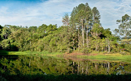 Finca Cantaros