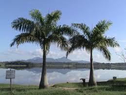 Lagoa de Jacarepia