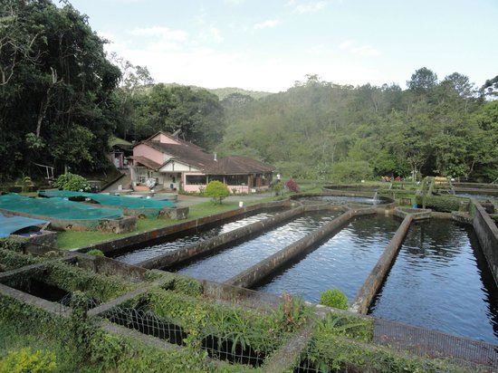 Trutário Santa Clara