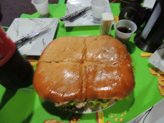 Parana Dog